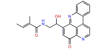 Cystodytin E